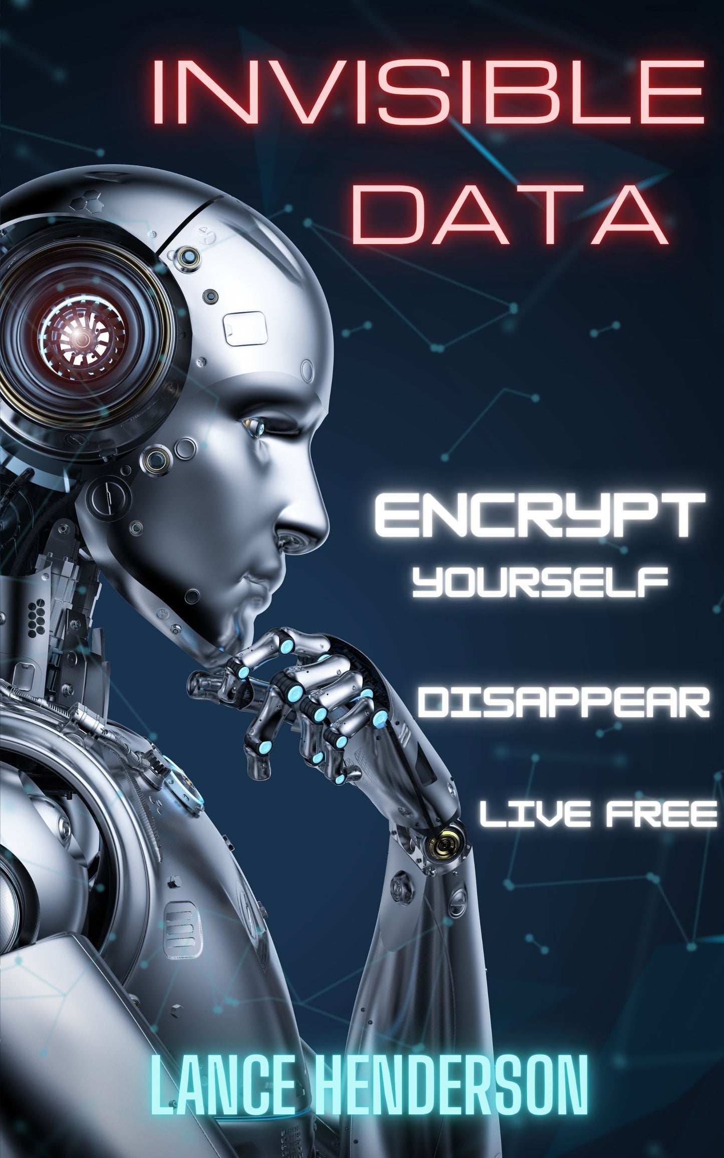 Invisible Data AUDIOBOOK